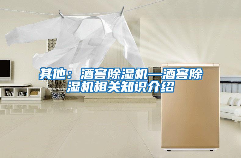 其他:酒窖除濕機(jī)—酒窖除濕機(jī)相關(guān)知識介紹