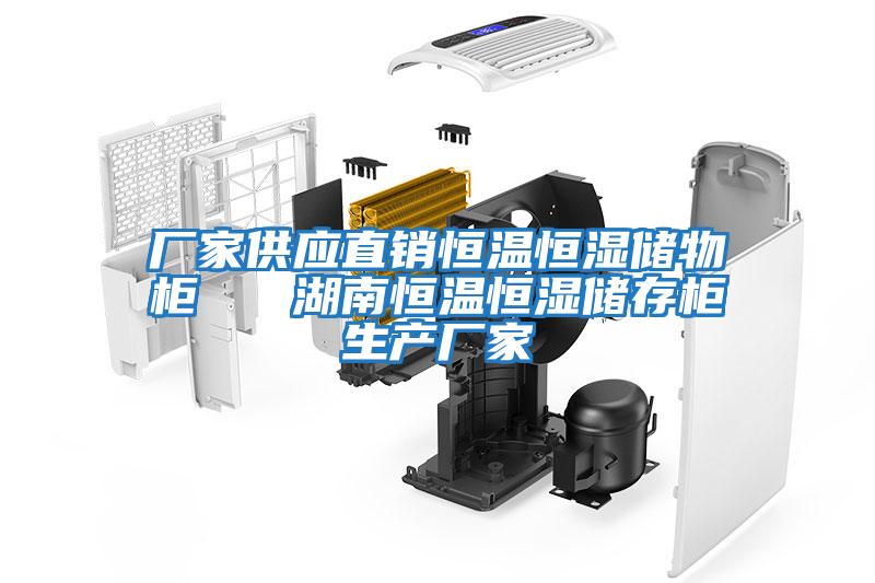 廠家供應直銷恒溫恒濕儲物柜 湖南恒溫恒濕儲存柜生產(chǎn)廠家