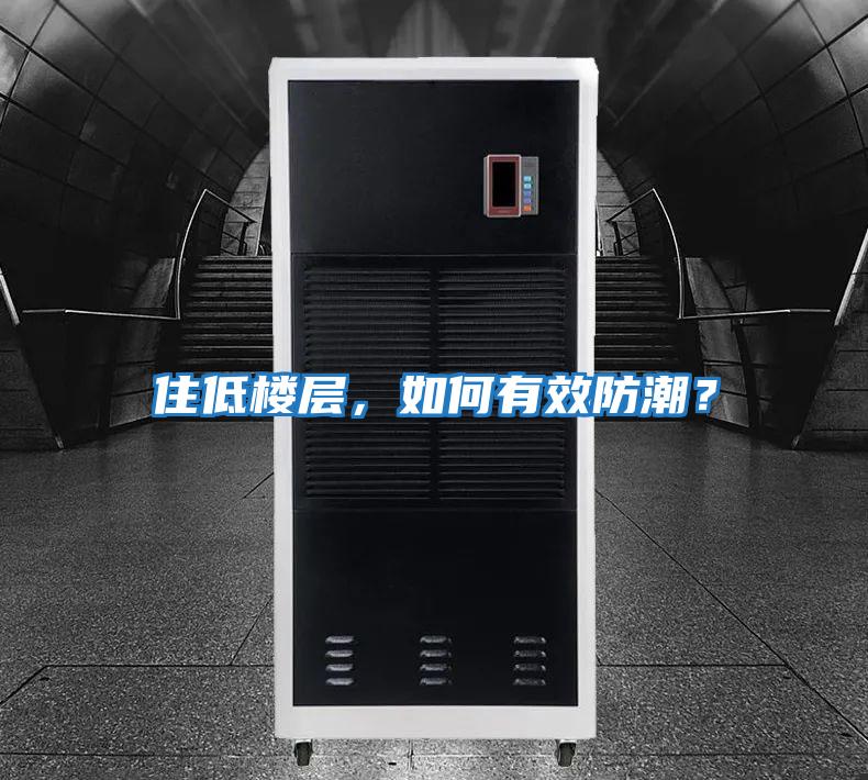 住低樓層,如何有效防潮?