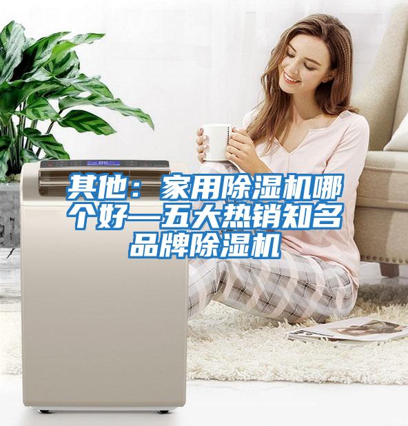其他:家用除濕機(jī)哪個(gè)好—五大熱銷知名品牌除濕機(jī)