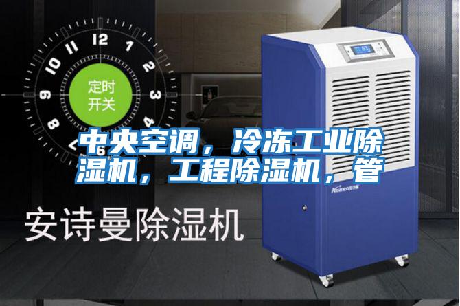 中央空調(diào),冷凍工業(yè)除濕機,工程除濕機,管