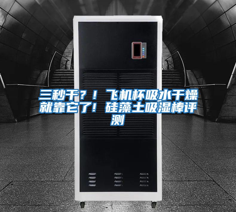 三秒干?! 飛機杯吸水干燥就靠它了! 硅藻土吸濕棒評測