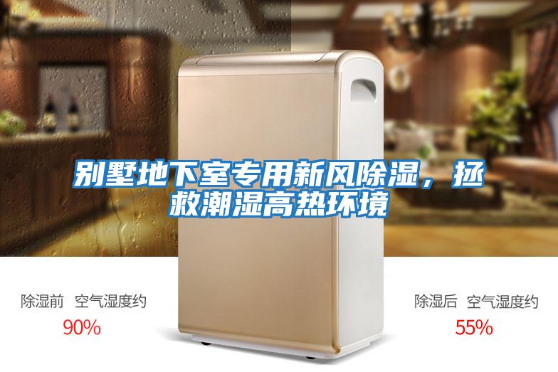 別墅地下室專用新風除濕，拯救潮濕高熱環境