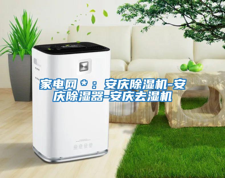 家電網(wǎng)*:安慶除濕機(jī)-安慶除濕器-安慶去濕機(jī)