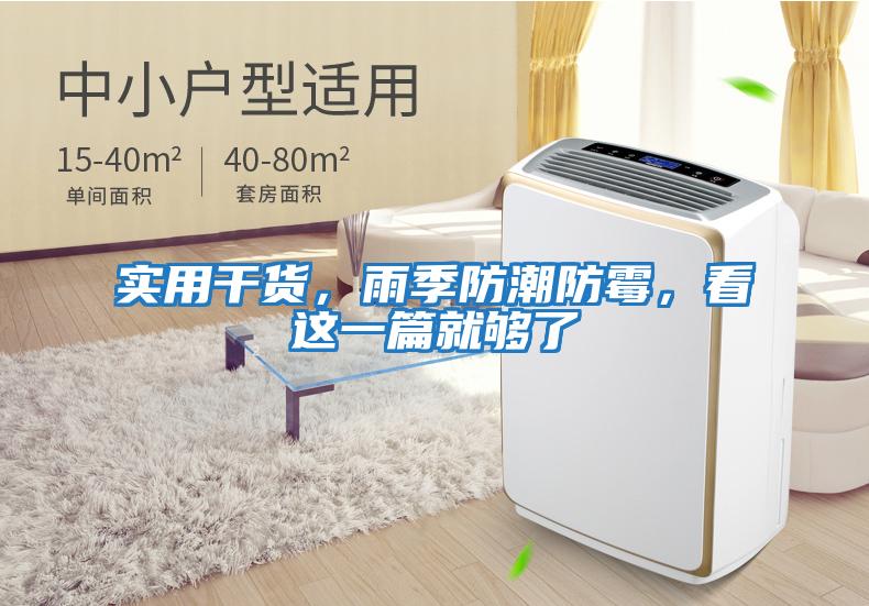 實用干貨，雨季防潮防霉，看這一篇就夠了