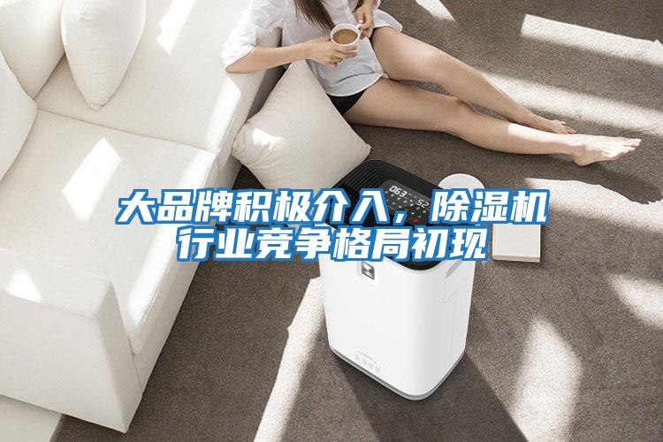 大品牌積極介入，除濕機行業競爭格局初現