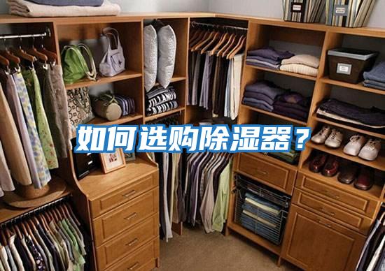 如何選購除濕器？