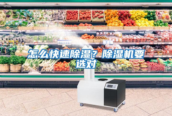 怎么快速除濕？除濕機要選對