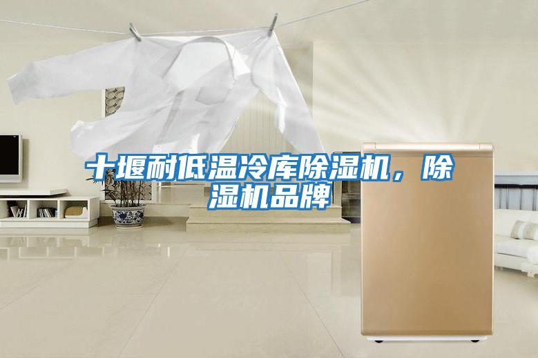 十堰耐低溫冷庫除濕機，除濕機品牌