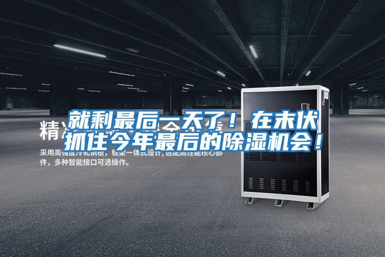 就剩最后一天了！在末伏抓住今年最后的除濕機會！