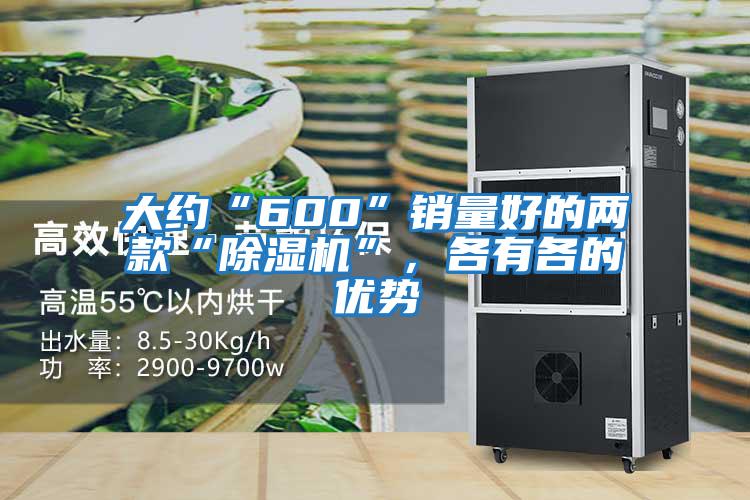 大約“600”銷量好的兩款“除濕機”，各有各的優勢