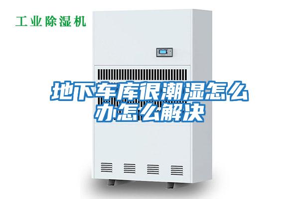 地下車(chē)庫(kù)很潮濕怎么辦怎么解決
