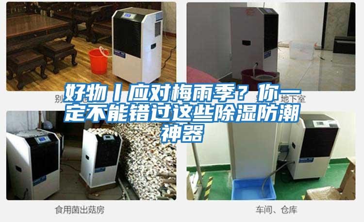 好物丨應對梅雨季？你一定不能錯過這些除濕防潮神器