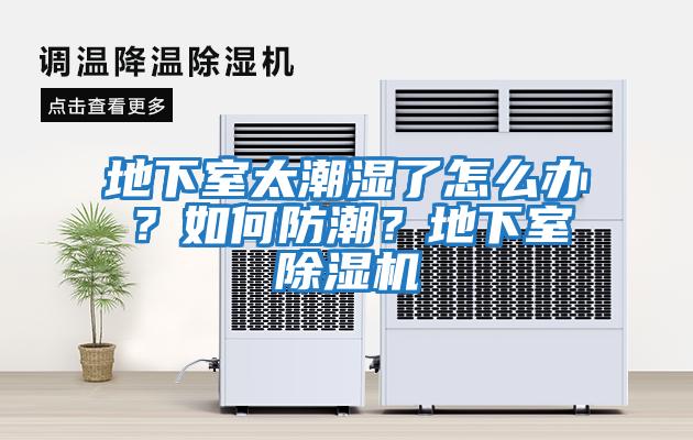 地下室太潮濕了怎么辦？如何防潮？地下室除濕機