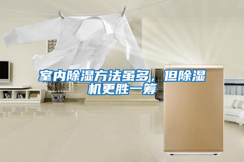 室內除濕方法雖多，但除濕機更勝一籌