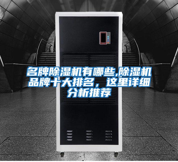 名牌除濕機(jī)有哪些,除濕機(jī)品牌十大排名，這里詳細(xì)分析推薦