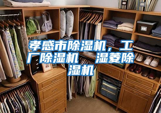孝感市除濕機(jī),工廠除濕機(jī) 濕菱除濕機(jī)