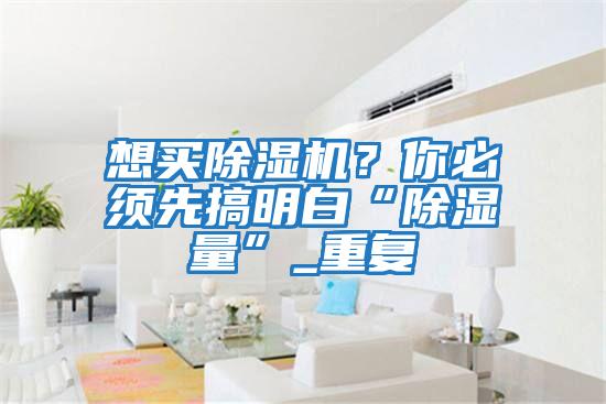 想買除濕機?你必須先搞明白“除濕量”_重復