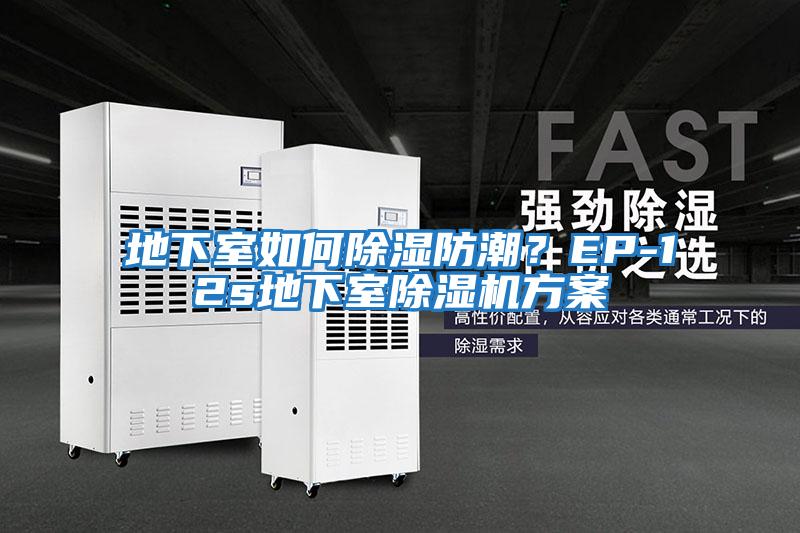 地下室如何除濕防潮?EP-12s地下室除濕機(jī)方案