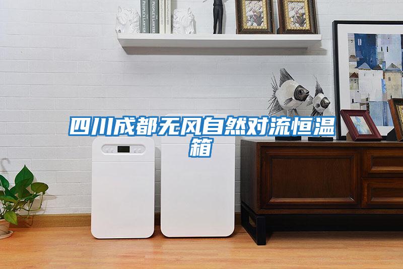 四川成都無風(fēng)自然對流恒溫箱