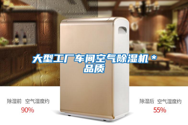 大型工廠車間空氣除濕機*品質(zhì)