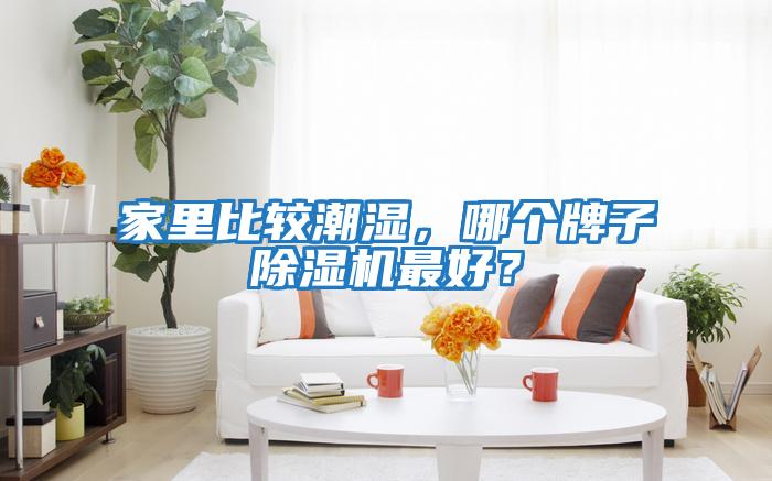 家里比較潮濕，哪個牌子除濕機最好？