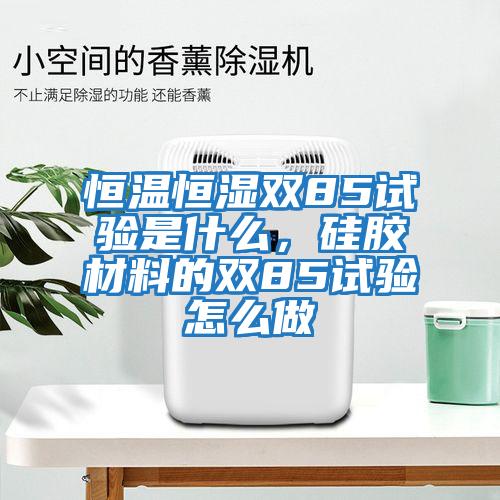 恒溫恒濕雙85試驗(yàn)是什么,硅膠材料的雙85試驗(yàn)怎么做