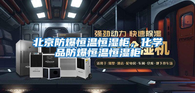 北京防爆恒溫恒濕柜,化學品防爆恒溫恒濕柜