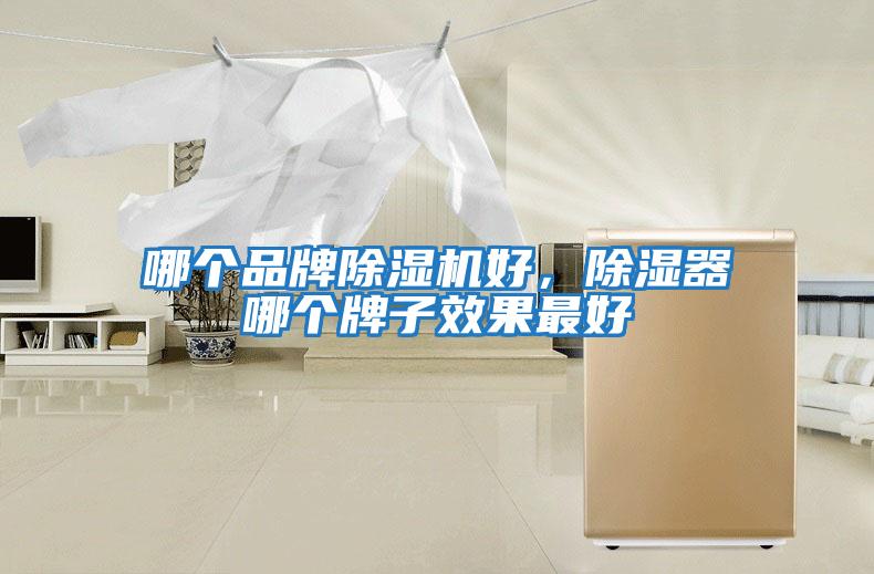 哪個(gè)品牌除濕機(jī)好,除濕器哪個(gè)牌子效果最好