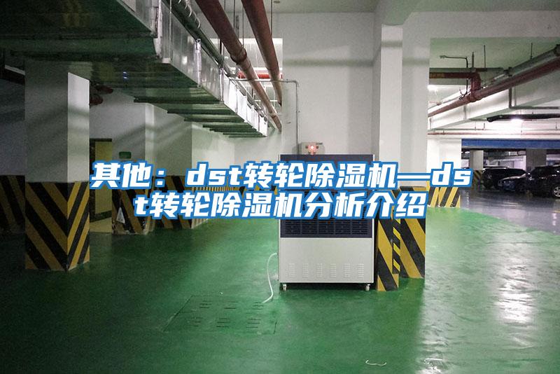 其他:dst轉(zhuǎn)輪除濕機(jī)—dst轉(zhuǎn)輪除濕機(jī)分析介紹