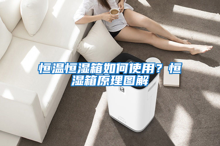 恒溫恒濕箱如何使用？恒濕箱原理圖解