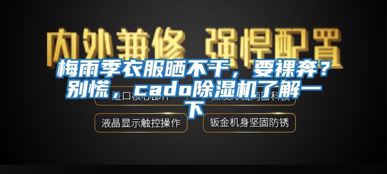 梅雨季衣服曬不干,要裸奔?別慌,cado除濕機(jī)了解一下