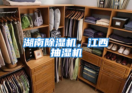 湖南除濕機,江西抽濕機