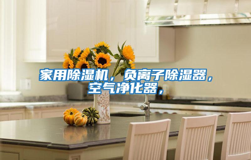 家用除濕機，負離子除濕器，空氣凈化器，