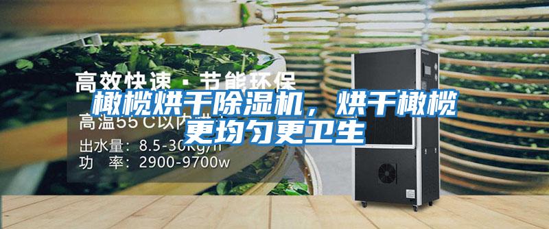 橄欖烘干除濕機(jī),烘干橄欖更均勻更衛(wèi)生