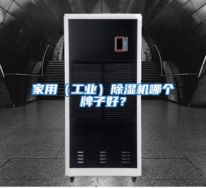家用(工業)除濕機哪個牌子好?