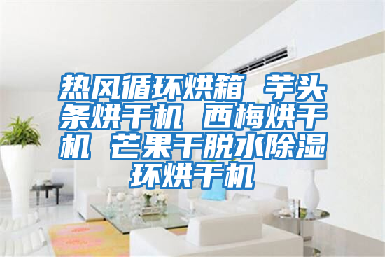 熱風(fēng)循環(huán)烘箱 芋頭條烘干機 西梅烘干機 芒果干脫水除濕環(huán)烘干機