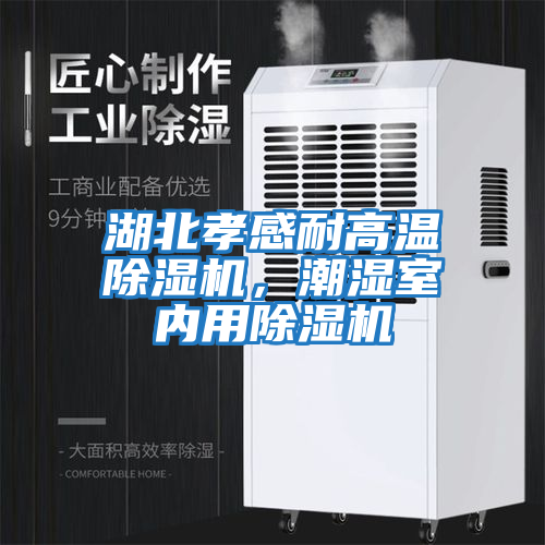 湖北孝感耐高溫除濕機，潮濕室內用除濕機
