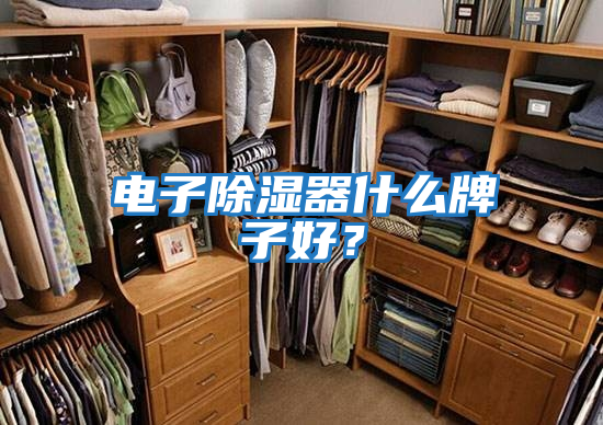 電子除濕器什么牌子好?