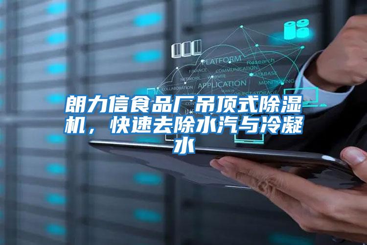 朗力信食品廠吊頂式除濕機,快速去除水汽與冷凝水