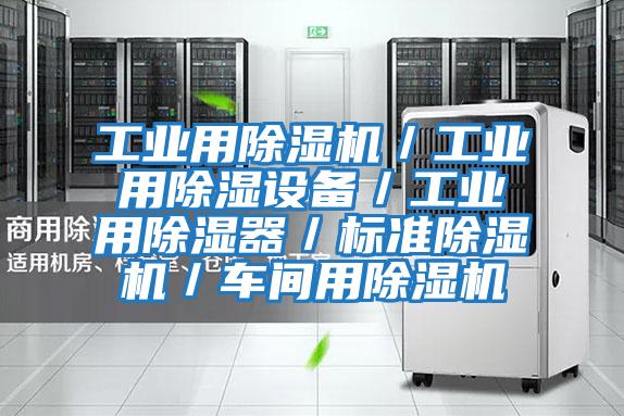 工業(yè)用除濕機/工業(yè)用除濕設備/工業(yè)用除濕器/標準除濕機/車間用除濕機