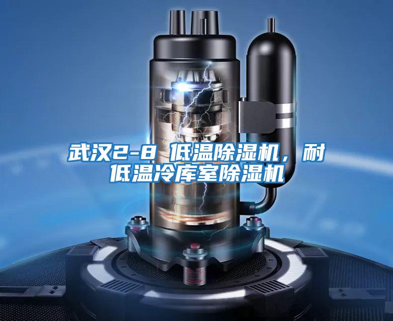 武漢2-8℃低溫除濕機(jī),耐低溫冷庫室除濕機(jī)