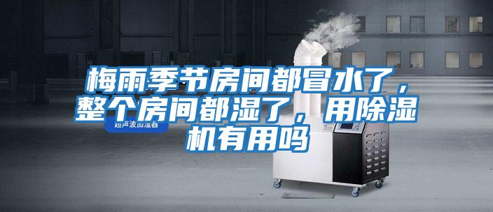 梅雨季節房間都冒水了，整個房間都濕了，用除濕機有用嗎