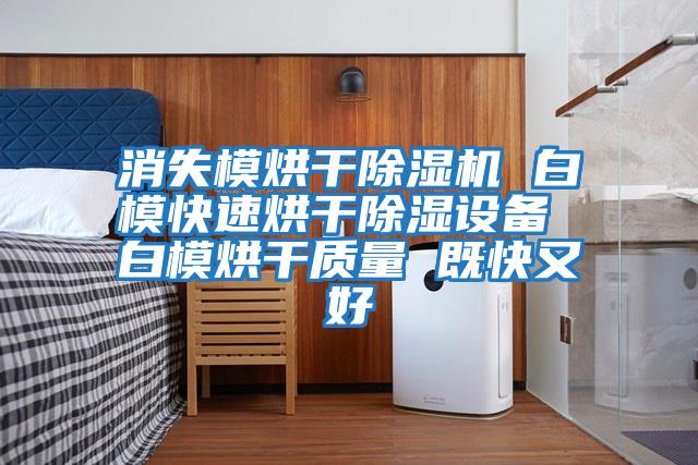 消失模烘干除濕機 白模快速烘干除濕設備 白模烘干質量 既快又好