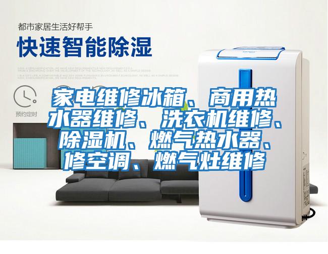 家電維修冰箱、商用熱水器維修、洗衣機(jī)維修、除濕機(jī)、燃?xì)鉄崴鳌⑿蘅照{(diào)、燃?xì)庠罹S修