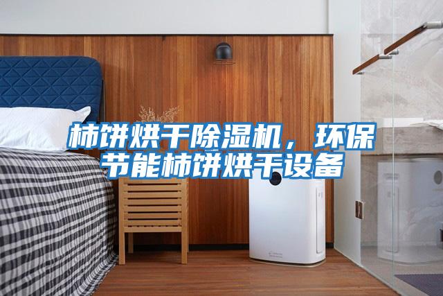 柿餅烘干除濕機，環保節能柿餅烘干設備