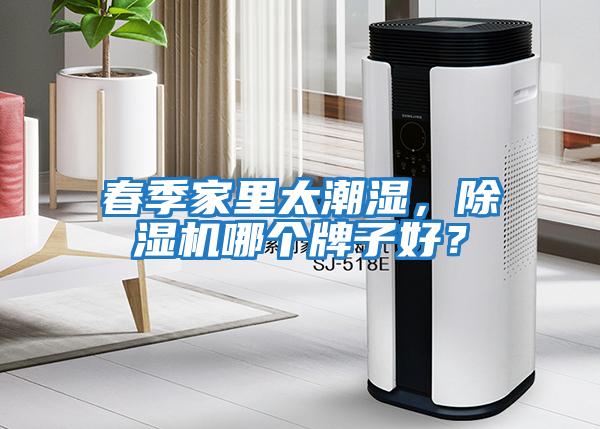 春季家里太潮濕,除濕機(jī)哪個牌子好?