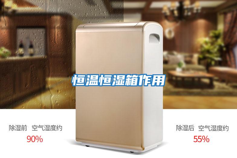 恒溫恒濕箱作用