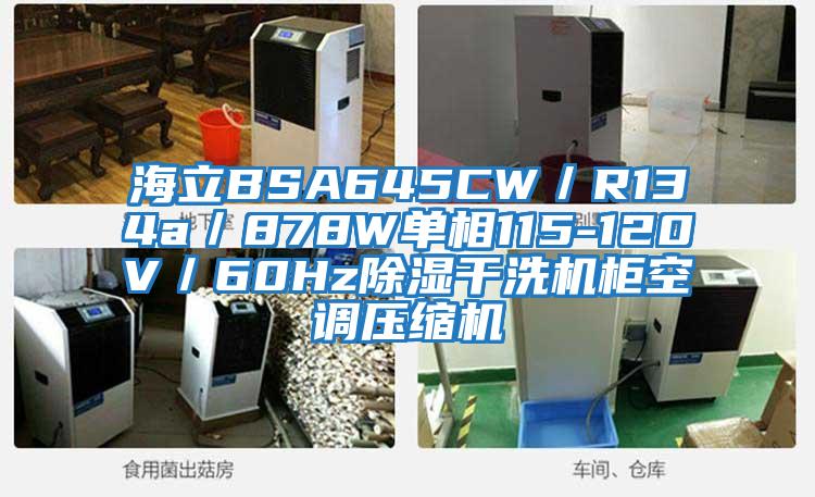海立BSA645CW/R134a/878W單相115-120V/60Hz除濕干洗機柜空調壓縮機