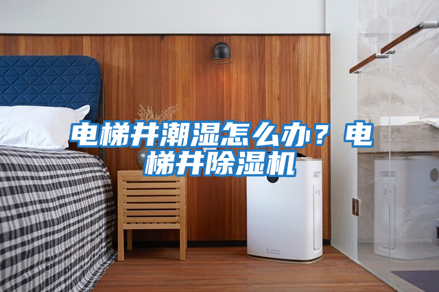 電梯井潮濕怎么辦？電梯井除濕機(jī)